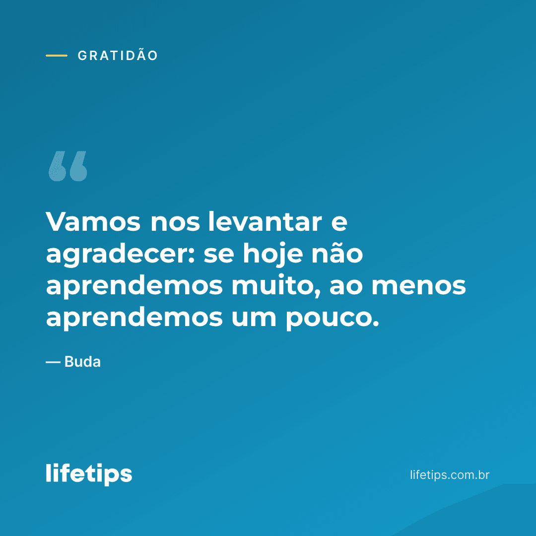 Vamos nos levantar e agradecer: se hoje não aprendemos muito, ao menos aprendemos um pouco. — Buda