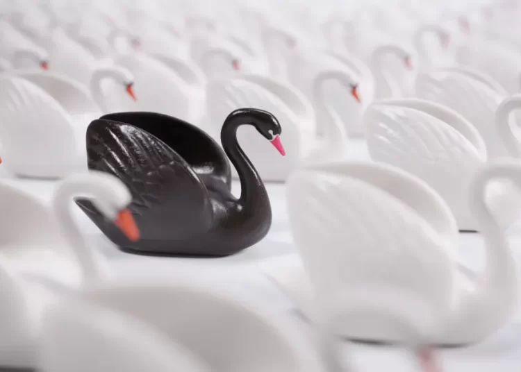 Equilibrando o Cisne Branco e Negro: A Jornada Além da Perfeição