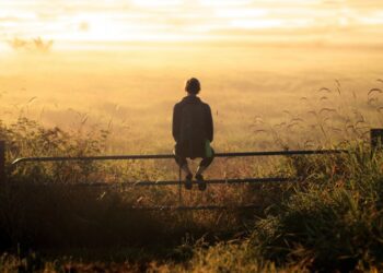 Além do Prazer: A Profunda Satisfação de Ser Útil