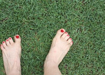 A Arte de Estar Presente: Como a Atenção Plena Pode Transformar a Sua Vida