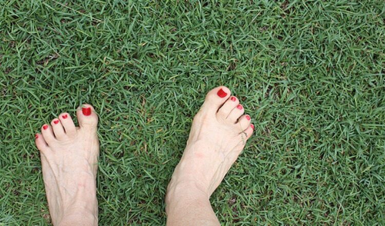 A Arte de Estar Presente: Como a Atenção Plena Pode Transformar a Sua Vida